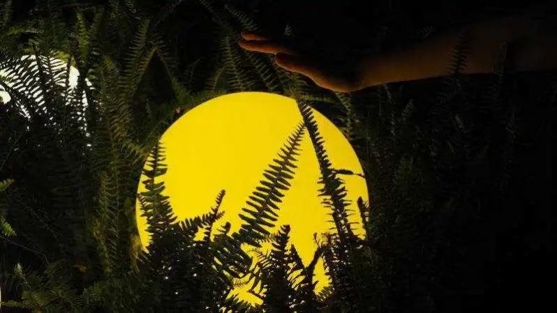 1668497857229305.jpg 1668497857229305.jpg