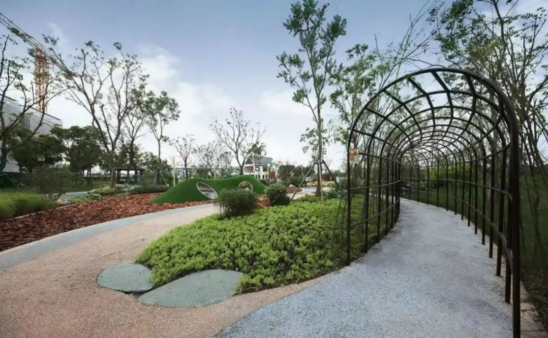 1668497889102971.jpg 1668497889102971.jpg