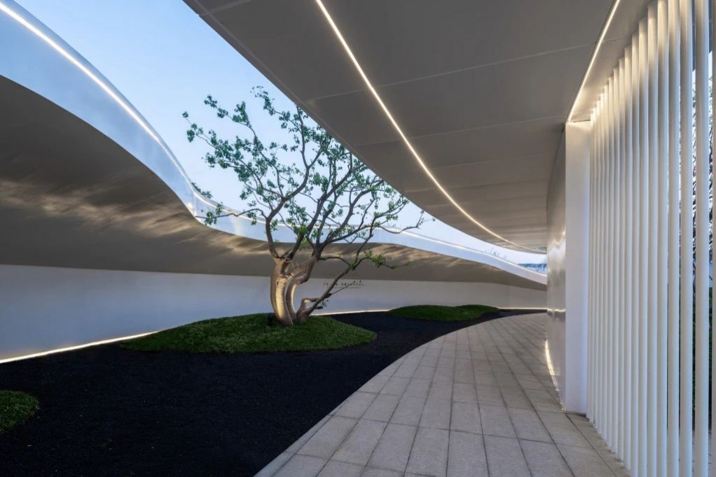 1677047997294059.jpg 1677047997294059.jpg