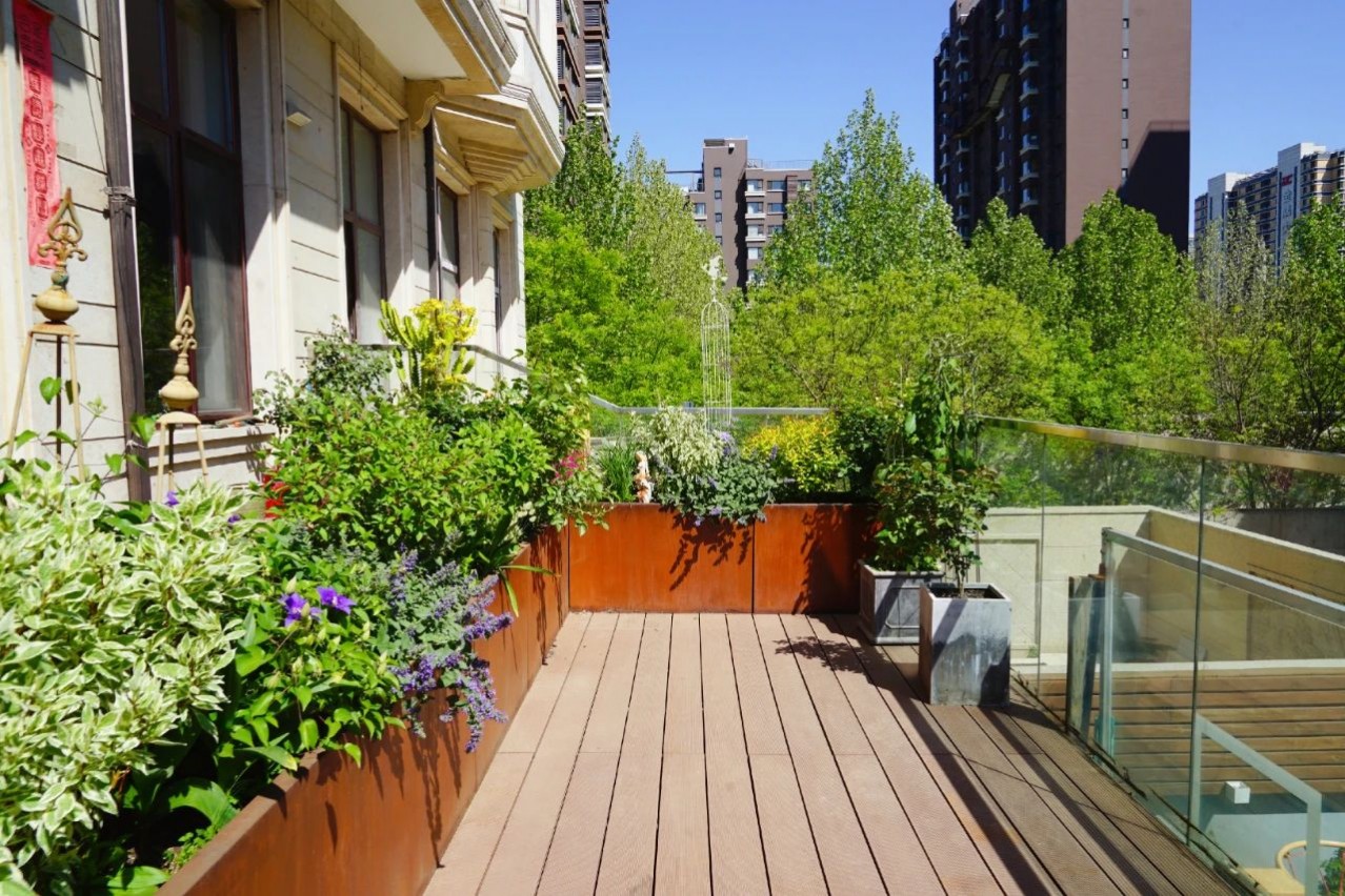 1686034594120696.jpg 1686034594120696.jpg