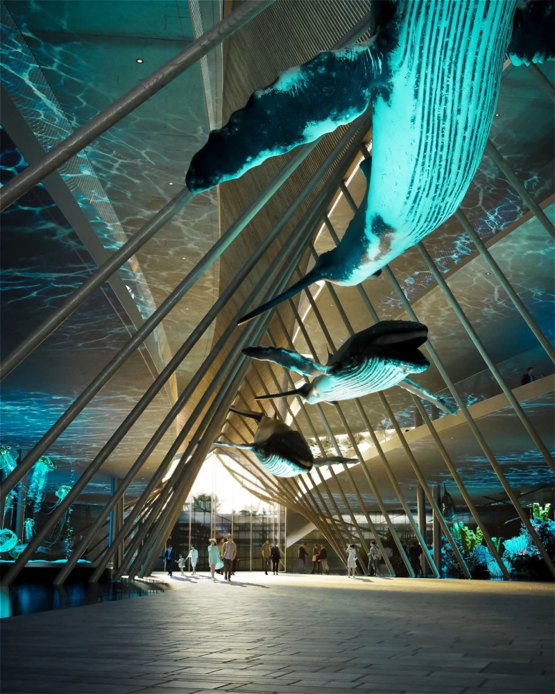 1690340869230628.jpg 1690340869230628.jpg