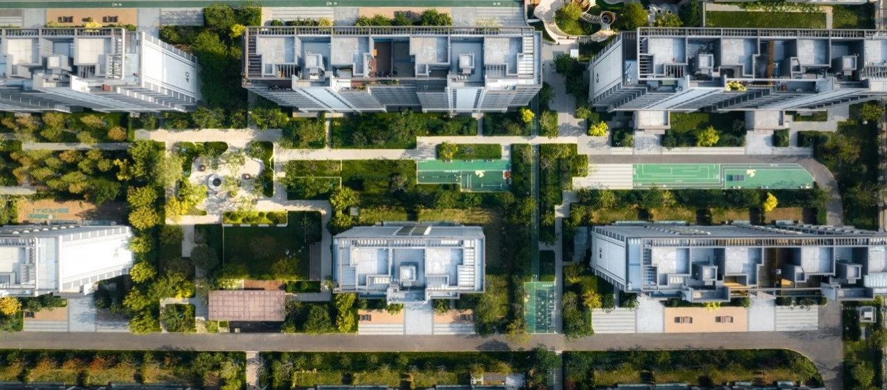 1702603631443054.jpg 1702603631443054.jpg