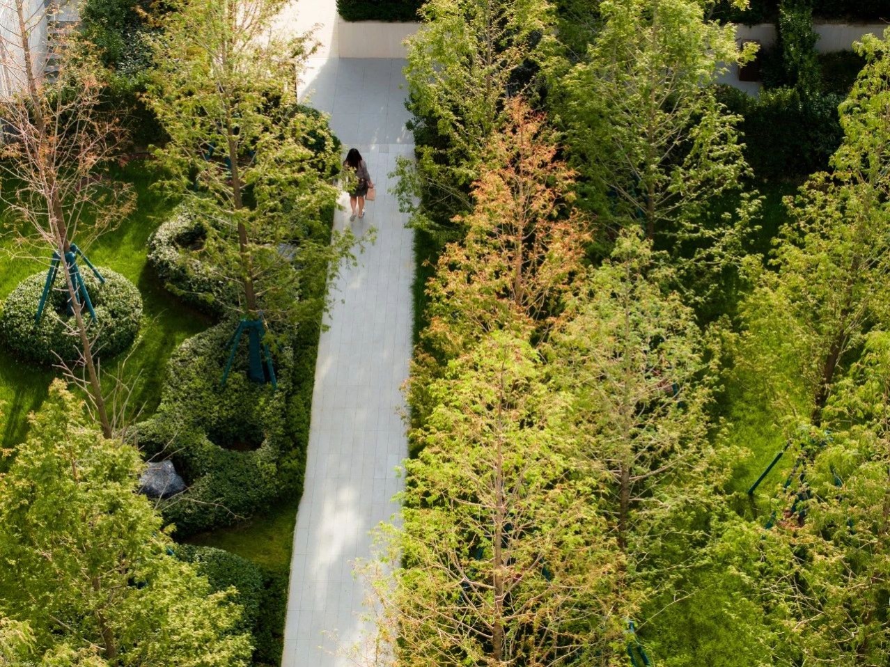 1702604004280723.jpg 1702604004280723.jpg